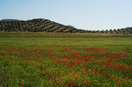Aprovechamiento agrícola
